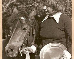 broodmare Jäntan RR 779 (Gotland Pony, 1961, from Raketen RR 102)