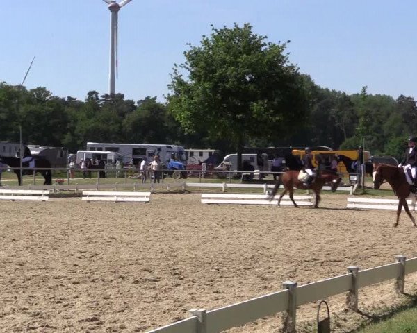 Reitturnier Coesfeld/Lette 2021