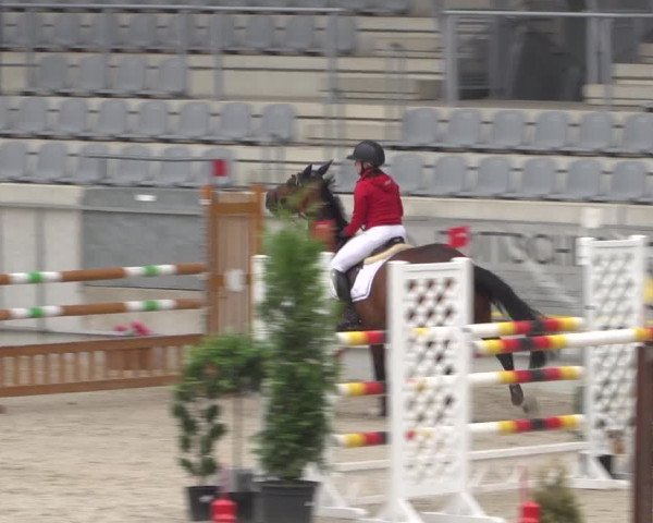 Reitturnier Aachen 2021