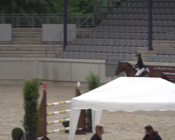 Reitturnier Aachen 2021