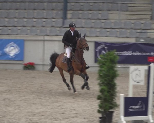 Reitturnier Aachen 2021