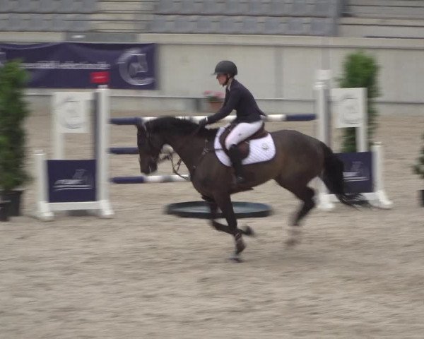 Reitturnier Aachen 2021
