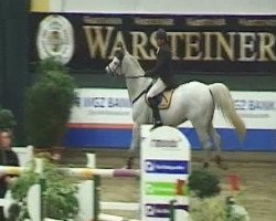 jumper Cheridan (Swedish Warmblood, 2000, from Clinton)