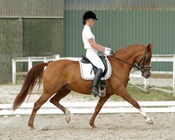 horse Erf-Montana (German Riding Pony, 2000, from Mentos)