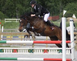 horse Hilkens Kimbajar (German Riding Pony, 2002, from Kimber)