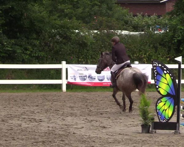 Reitturnier Mildstedt 2021