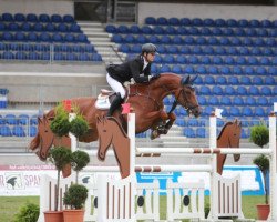 jumper Paganini 165 (Hanoverian, 2007, from Perigueux)