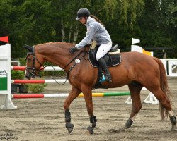 horse Wonderboy (KWPN (Royal Dutch Sporthorse), 2003, from Lupicor)