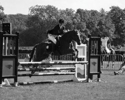 horse Orchid's Lindinii (New Forest Pony, 1994, from Ralph)