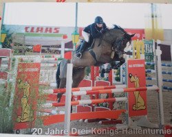 jumper Caspar's Pilot (Oldenburg show jumper, 2009, from Caspar (Berlin))