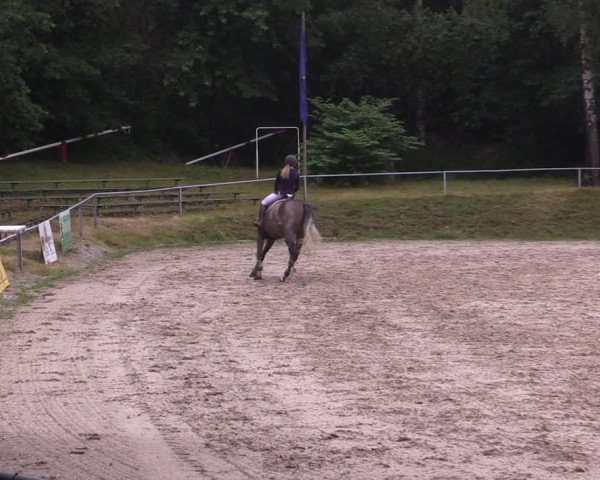 Reitturnier Lgl.-Oberhain, B95 2021