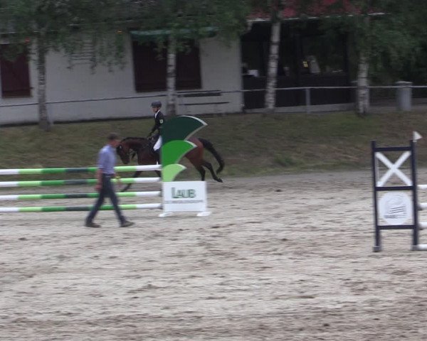 Reitturnier Lgl.-Oberhain, B95 2021