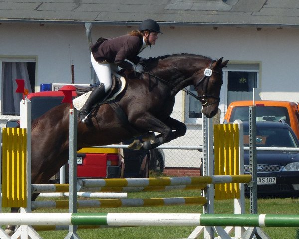 broodmare Merilin 3 (German Sport Horse, 2008, from Monte Bellini)