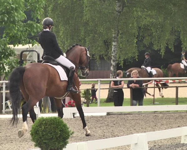 Reitturnier Jettingen 2021