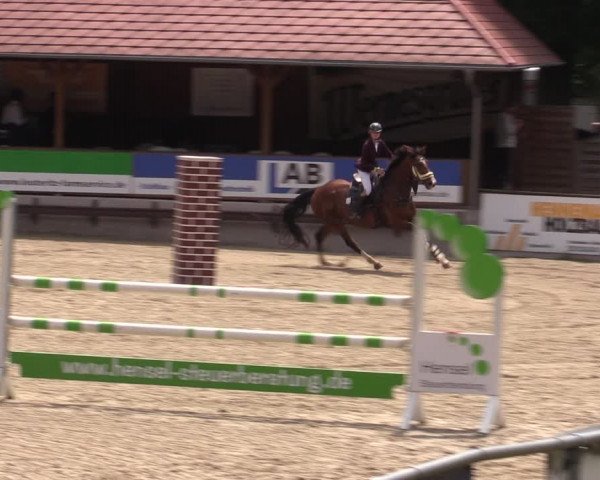 Reitturnier Lgl.-Oberhain, B95 2021