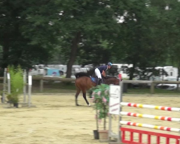 Reitturnier Rhede 2021