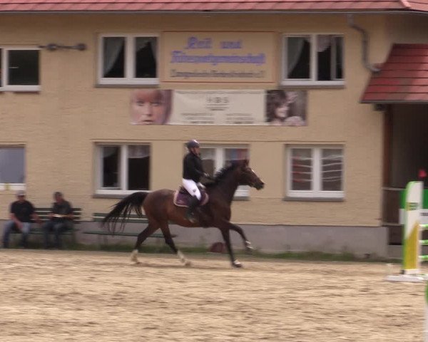 Reitturnier Lgl.-Oberhain, B95 2021