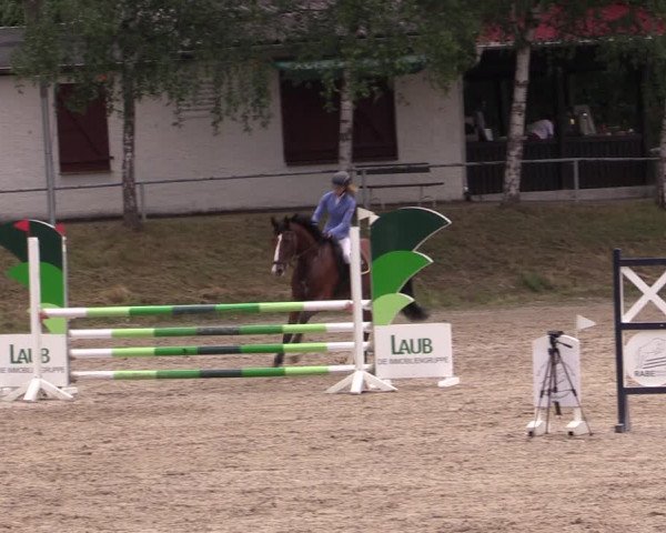 Reitturnier Lgl.-Oberhain, B95 2021