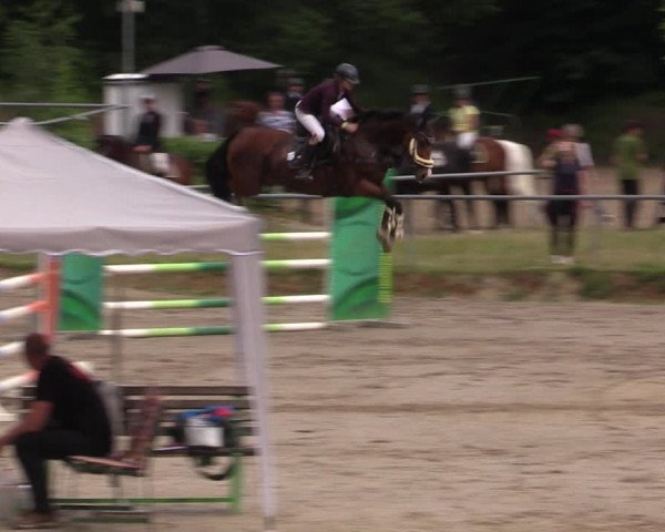 Reitturnier Lgl.-Oberhain, B95 2021