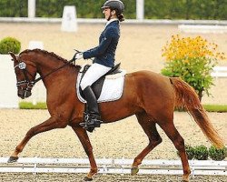 broodmare Cherie S (German Riding Pony, 2009, from Charivari)