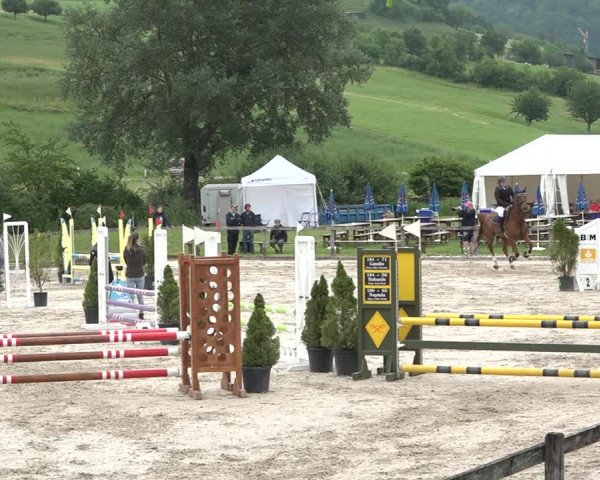 Reitturnier Rothenfluh 2021