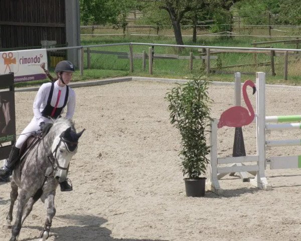 Reitturnier Köngen 2021
