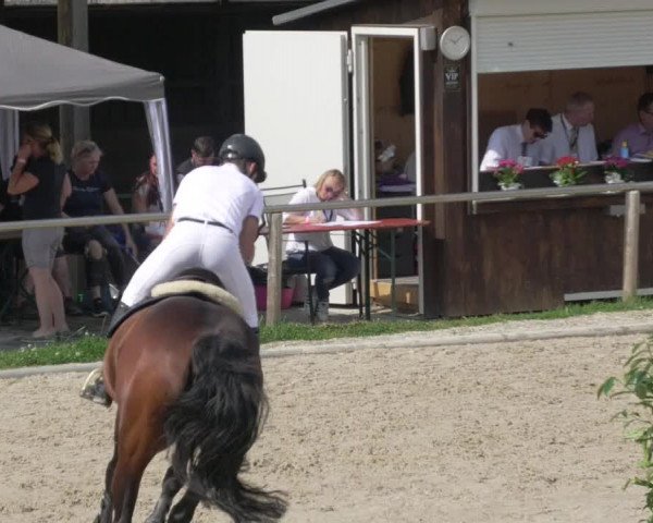 Reitturnier Köngen 2021