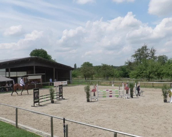 Reitturnier Köngen 2021