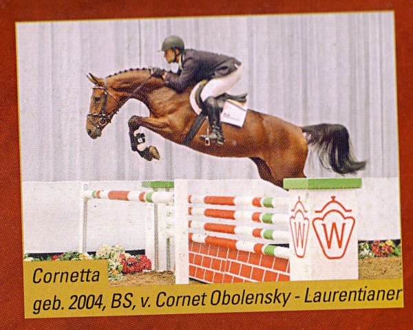 Springpferd Cornetta 15 (Westfale, 2004, von Cornet Obolensky)