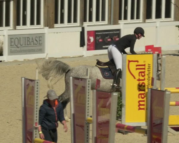 Springturnier Memmingen 2021