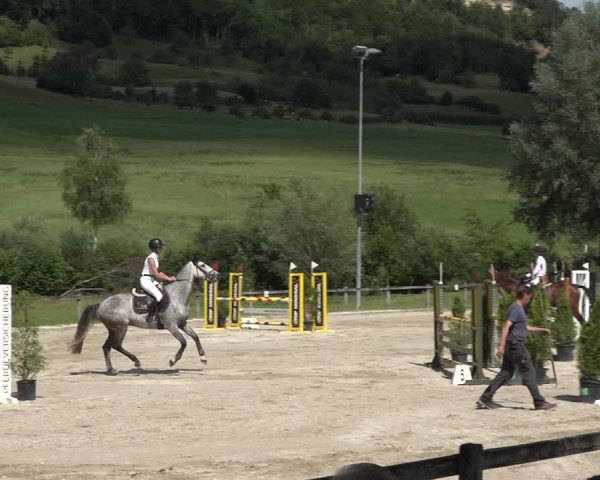 Reitturnier Rothenfluh 2021