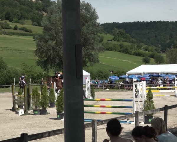 Reitturnier Rothenfluh 2021