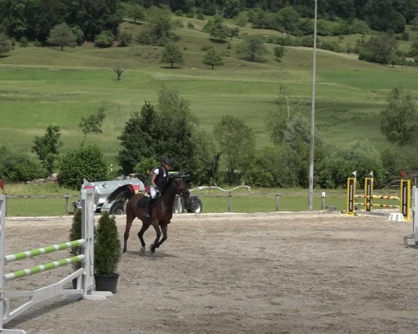Reitturnier Rothenfluh 2021