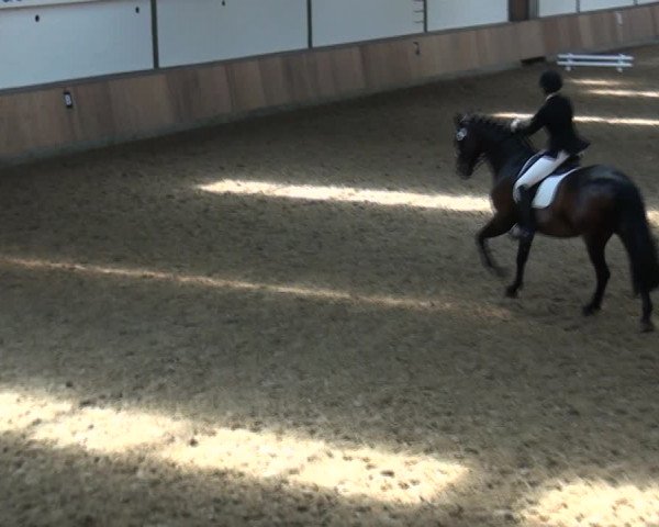 Reitturnier Rhede 2021