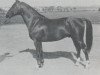 stallion Manco (Swedish Warmblood, 1934, from Humanist)