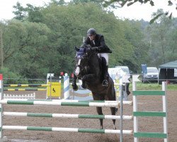 broodmare Lucille (Hessian Warmblood, 2003, from Leicester)