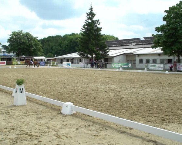 Reitturnier Bad Marienberg - OT Nisterau 2021