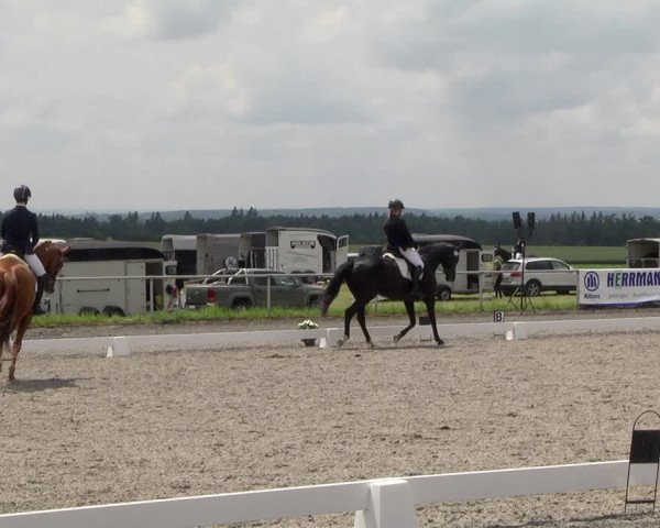 Reitturnier Jettingen 2021