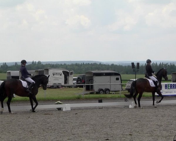 Reitturnier Jettingen 2021