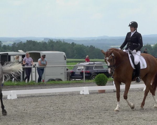 Reitturnier Jettingen 2021