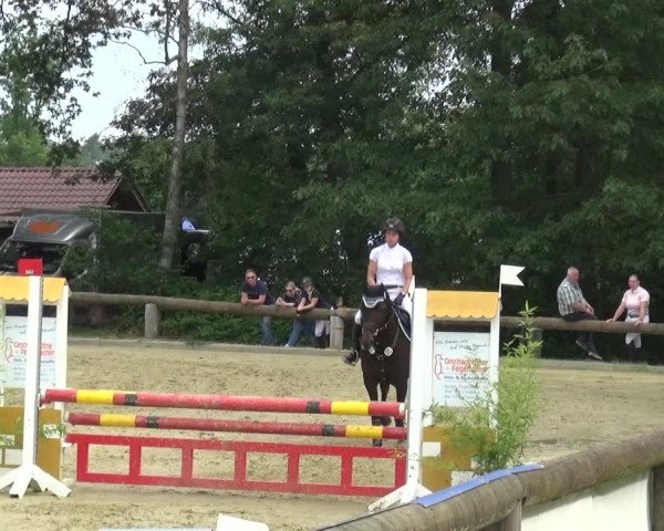 Reitturnier Rhede 2021