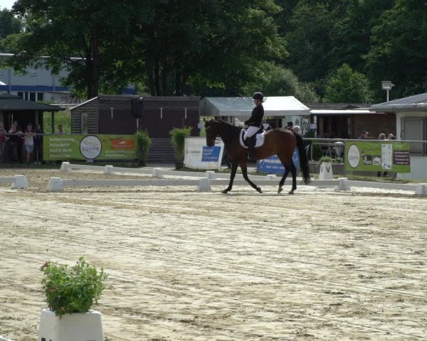 Reitturnier Bad Marienberg - OT Nisterau 2021