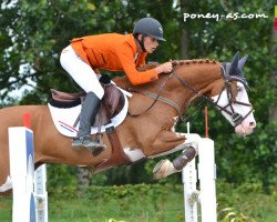 jumper Massaqua T (German Riding Pony, 2004, from Mentos Charmeur)