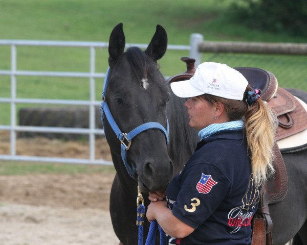 stallion Peps Little Step (Quarter Horse, 2012, from Wimpys Balito)