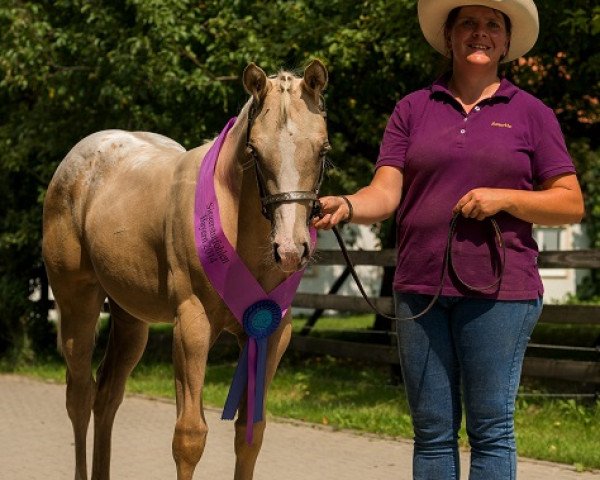 broodmare Bops Strudel Bailey (Appaloosa, 2014, from Mr Strudel Bop)