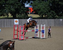 broodmare Porter's Princess (KWPN (Royal Dutch Sporthorse), 2006, from Porter L.C.H.)