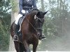 dressage horse Dark Pearl E (Hanoverian, 2009, from Don Frederico)