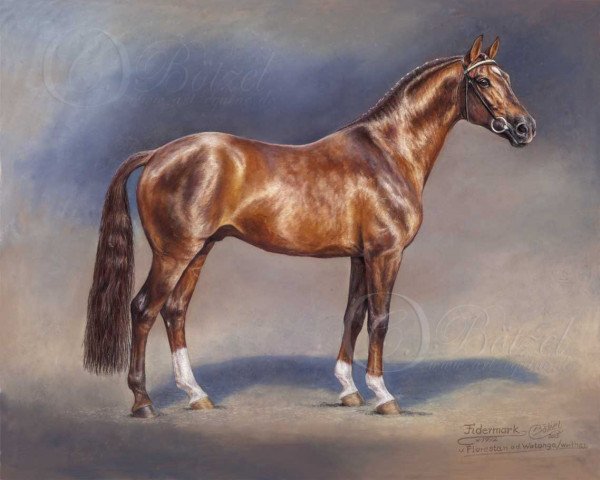 stallion Fidermark (Westphalian, 1992, from Florestan I)