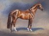 stallion Fidermark (Westphalian, 1992, from Florestan I)