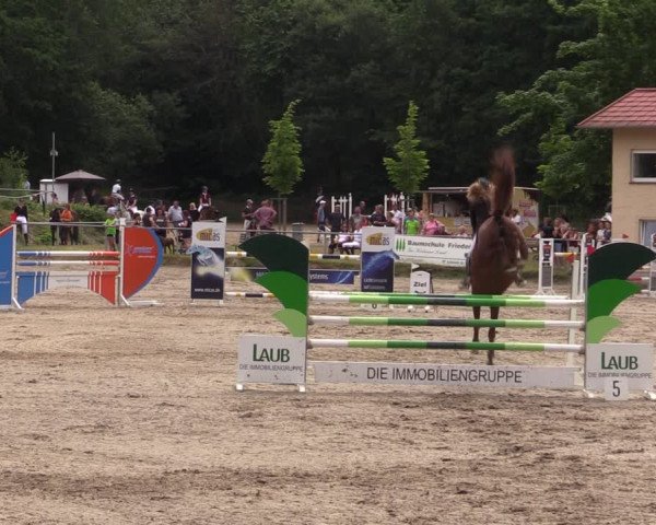 Reitturnier Lgl.-Oberhain, B95 2021